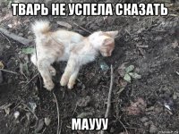 тварь не успела сказать маууу