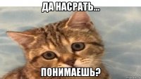 да насрать... понимаешь?