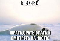 я серый жрать,срать,спать,и смотреть на настю