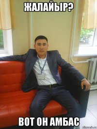 жалайыр? вот он амбас