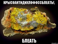 крысоантидихлофоссблеать!, блеать
