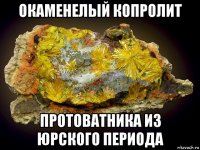 окаменелый копролит протоватника из юрского периода