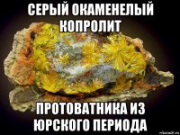 серый окаменелый копролит протоватника из юрского периода