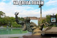 на дятла похож 