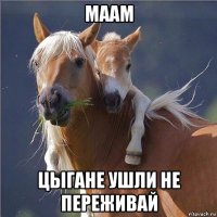 маам цыгане ушли не переживай