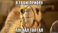 я твою приору плевал топтал