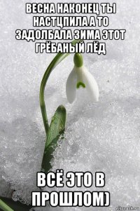 весна наконец ты настцпила а то задолбала зима этот грёбаный лёд всё это в прошлом)