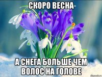 скоро весна а снега больше чем волос на голове