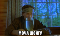  моча шойгу