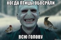 когда птицы обосрали всю голову