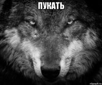 пукать 