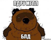 пдру мгпл блд