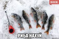  риба нахуй