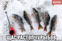  щас растопчу рыбов