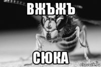 вжъжъ сюка