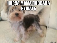 когда мама позвала кушать 