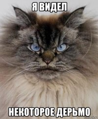 я видел некоторое дерьмо