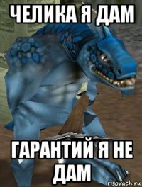 челика я дам гарантий я не дам