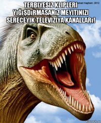 terbiyesiz klipleri yığışdırmasanız meyitinizi sereceyik televiziya kanalları! 