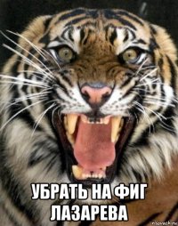  убрать на фиг лазарева