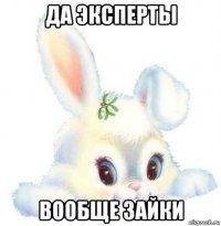 да эксперты вообще зайки