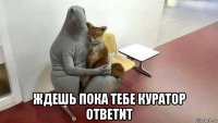  ждешь пока тебе куратор ответит