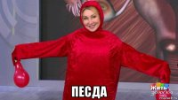  песда