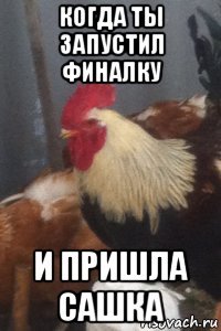 когда ты запустил финалку и пришла сашка