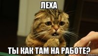 леха ты как там на работе?
