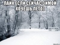лайк если сейчас зимой хочешь лето) 