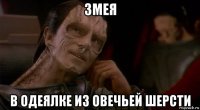 змея в одеялке из овечьей шерсти