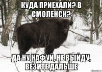 куда приехали? в смоленск? да ну нафуй, не выйду, везите дальше
