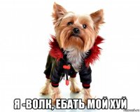  я -волк, ебать мой хуй