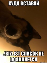 кудо вставай /bizlist список не появляется