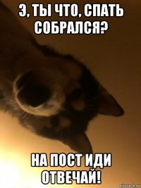 э, ты что, спать собрался? на пост иди отвечай!