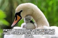  учитесь многое прощать, потому что из-за обид в сердце остается меньше места для любви.