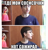 где мои сосисочки кот сожирал
