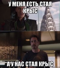 у меня есть стая крыс а у нас стая крыс