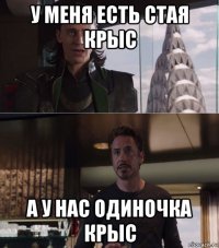 у меня есть стая крыс а у нас одиночка крыс