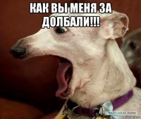 как вы меня за долбали!!! 