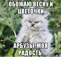 обожаю весну и цветочки арбузы. моя радость.