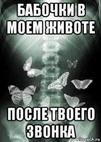 бабочки в моем животе после твоего звонка