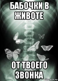 бабочки в животе от твоего звонка