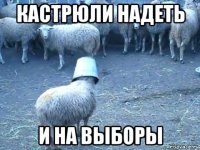 кастрюли надеть и на выборы