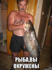  рыба,вы окружены