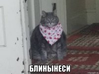  блинынеси