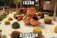 газон для тёщи