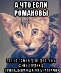 а что если романовы это на самом деле два гея с фейк страниц, прикидывающихся братками