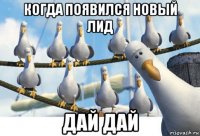 когда появился новый лид дай дай