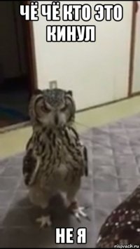 чё чё кто это кинул не я